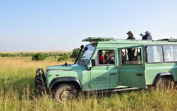 Safaris for natur enthusiasts